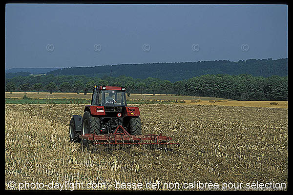 agriculture